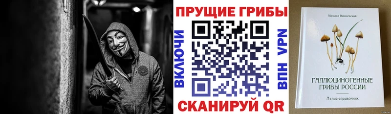 Псилоцибиновые грибы Psilocybine cubensis  Сурск 